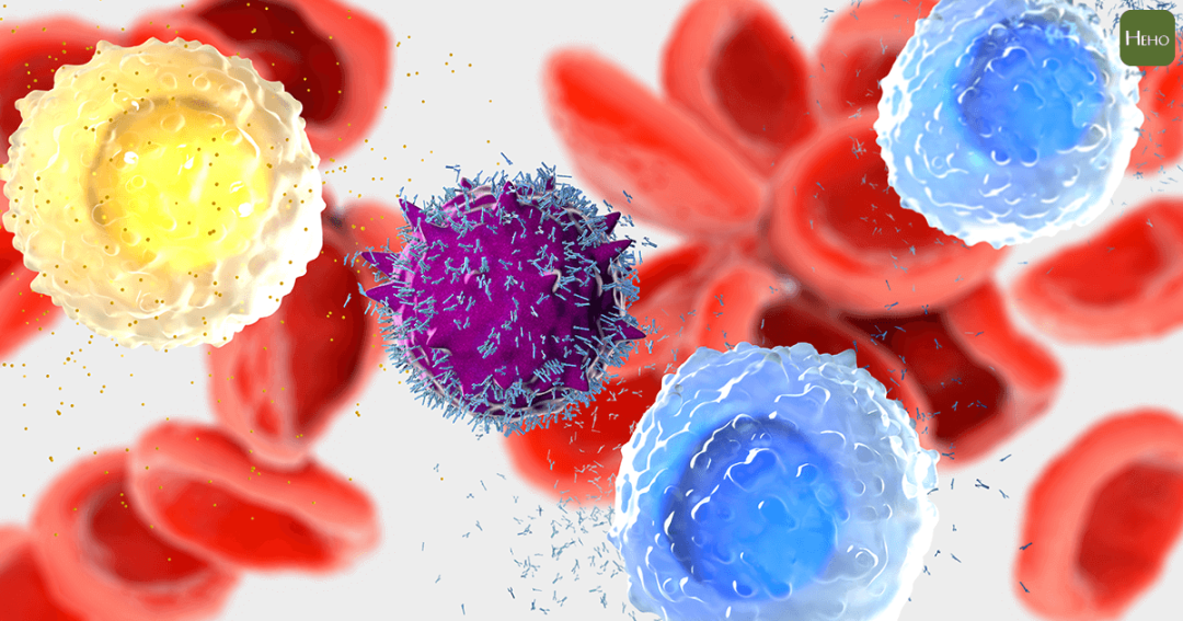 最新研究：新型T细胞<font color="red">检测</font>比抗体<font color="red">检测</font>更准确！