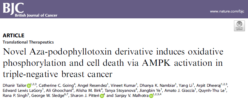 Br J Cancer：新型AMPK<font color="red">激活剂</font>SU212诱导细胞氧化磷酸化抑制三阴性乳腺癌的发生发展