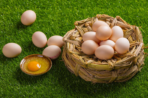 Clin Nutrition：鸡蛋和鸡蛋来源的胆<font color="red">固醇</font>消耗与死亡率的关系