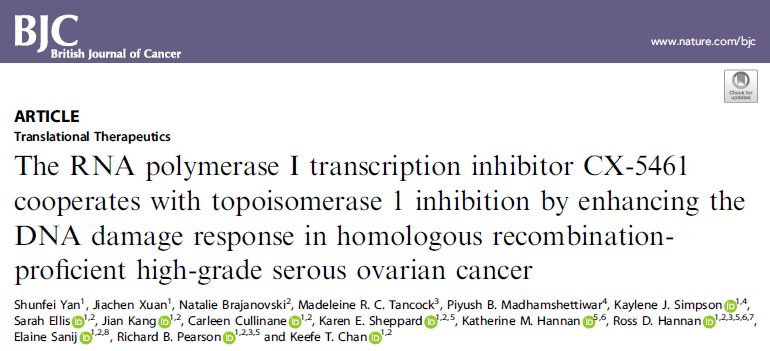 Br J Cancer：CX-5461结合TOP1抑制作用可增强高级别浆液性卵巢癌的同源重组DNA损伤反应并抑制肿瘤的生长