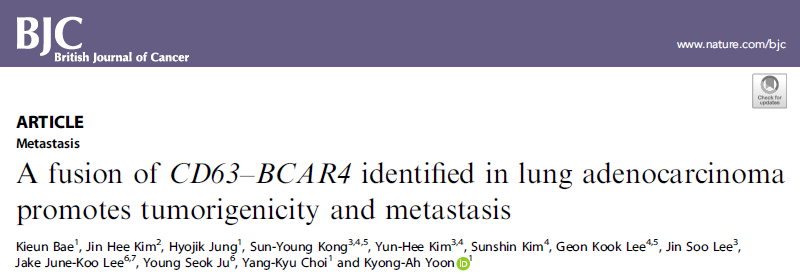 Br J Cancer：新型<font color="red">CD63</font>–BCAR4融合蛋白可促进肺腺癌的致瘤性和转移