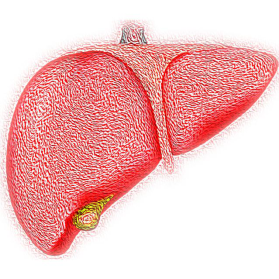 51年队<font color="red">列</font>研究数据：轻度脂肪肝增加7成死亡风险！