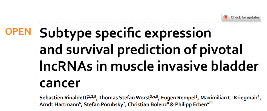 肌肉浸润性膀胱癌中关键lncRNA的亚型特异性表达和生存预测