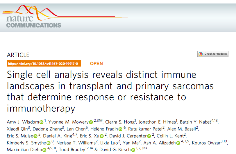 Nat Commun：单<font color="red">细胞</font><font color="red">分析</font>揭示移植瘤和原发性肉瘤的不同免疫状况并影响免疫疗法的效果
