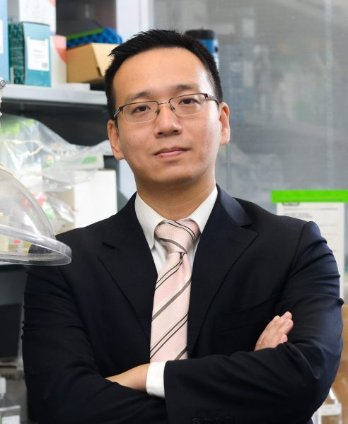 Bioactive Materials：程柯、王少为团队开发新型多功能避孕凝胶