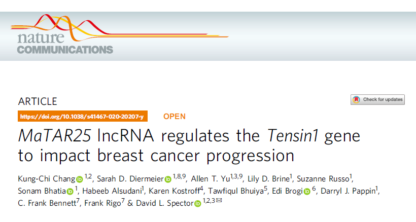Nat Commun：lncRNA MaTAR25通过调控Tns1基因影响乳腺癌的发生发展