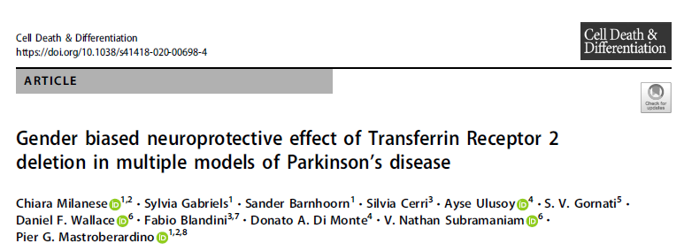 Cell Death Differ：帕金森病模型中TfR2的缺失具有神经保护作用