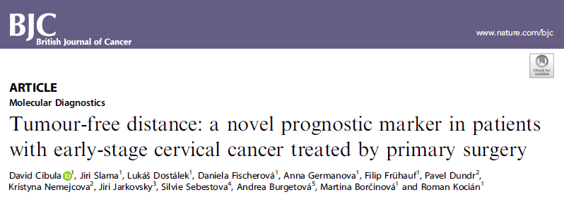 Br J Cancer：<font color="red">无</font><font color="red">肿瘤</font><font color="red">距离</font>（TFD）：早期宫颈癌患者的新预后指标