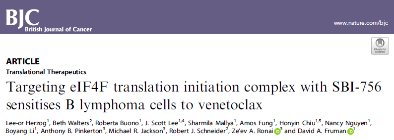 Br J Cancer：SBI-756 + venetoclax：新型B细胞淋巴瘤治疗组合