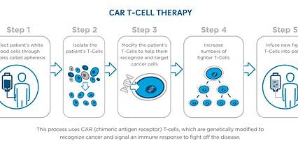 Lenzilumab预防或治疗与CAR-T<font color="red">细胞</font>疗法相关<font color="red">细胞因子</font>风暴和神经毒性