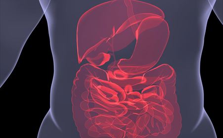 BMJ Gastroenterology：粪便菌群移植治疗中重度溃疡性结肠炎后疾病复发情况及再次行粪便菌群移植的疗效