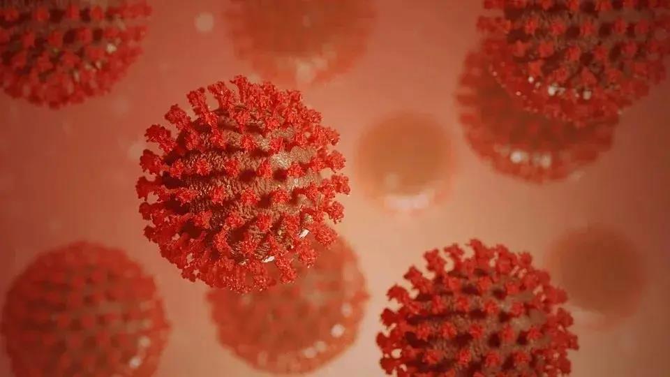 新冠动态丨Cell子刊发表研究：新冠病毒D614G突变不仅<font color="red">没有影响</font>疫苗保护效果，反而对疫苗更敏感！