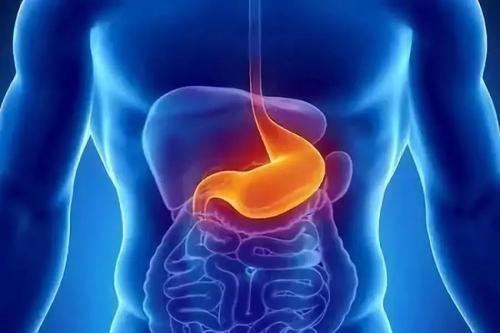 Gastric Cancer ：内脏脂肪组织CT衰减和F-18氟脱氧葡萄糖摄取对预测根治性手术切除后胃癌患者生存的意义 