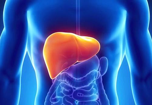 AP&T：非酒精性脂肪肝患者晚期肝纤维化与心血管疾病相关