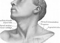 Laryngoscope：空鼻综合症不同的组织病理学特征 