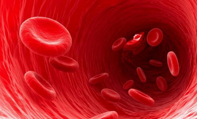 Cell Stem Cell：鼓动人心！更新更有效的干细胞移植方法可以帮助血癌患者