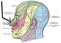 Audiol Neurootol：前庭偏<font color="red">头痛</font>和偏<font color="red">头痛</font>患者中的听力学发现