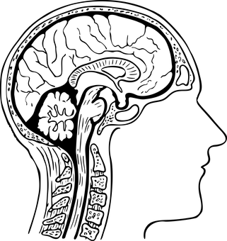 <font color="red">2020</font> <font color="red">EAN</font>共识建议：单基因脑小血管病的诊断和治疗