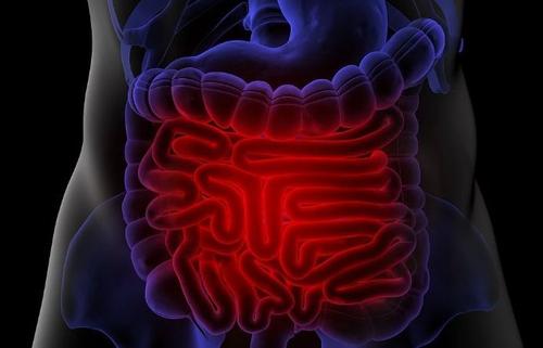 Gastroenterology：维甲酸和淋巴毒素信号可以促进<font color="red">人类</font><font color="red">肠道</font>M细胞的分化