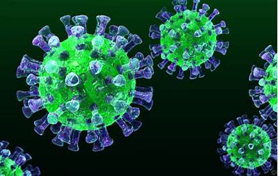 研究性腺病毒MERS-CoV疫苗：可保护猕猴免受MERS-CoV的攻击