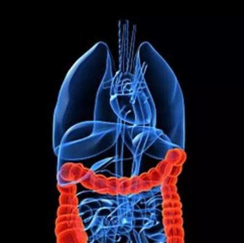 DCR：影响克罗恩病患者结肠切除后行回肠造口还是回结肠吻合术差异的因素分析 