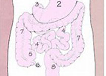 Gastroenterology：早发性结肠癌相关基因<font color="red">风险</font><font color="red">因素</font>研究