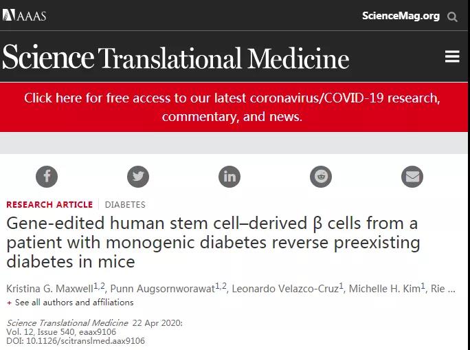 Sci Transl Med：<font color="red">基因</font>编辑患者的<font color="red">干细胞</font>可逆转糖尿病