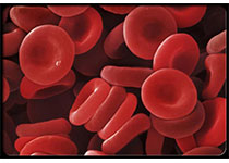 Blood：EGFR依赖性的DNA<font color="red">修复</font>促进造血再生
