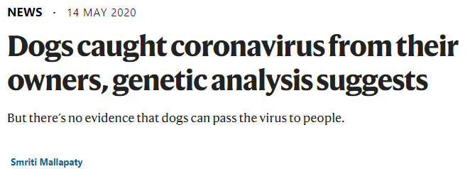 基因分析显示：<font color="red">人类</font>可以把冠状病毒传染给狗，但狗感染<font color="red">人类</font>无证据