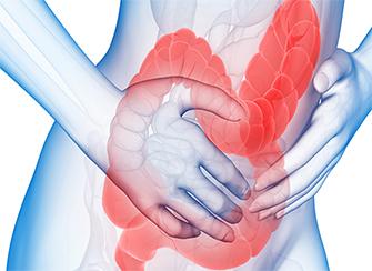Dig Liver Dis： 嗜酸乳杆菌混合物治疗肠易激综合症的疗效分析
