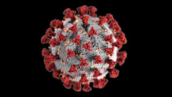 美国研究发现新冠病毒新毒株成为主流，或易导致二次感染