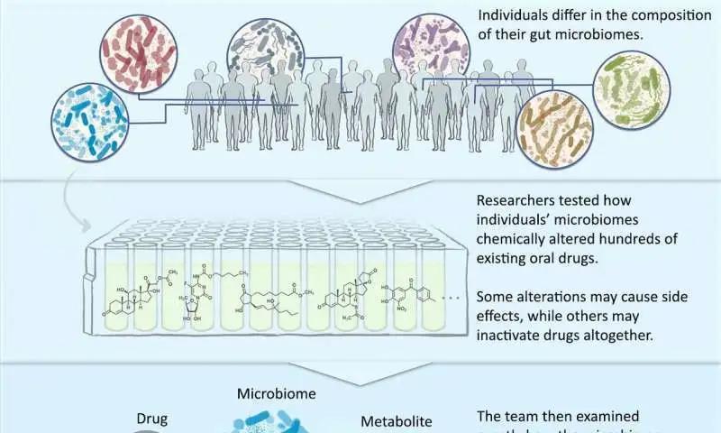 Cell：药物失效？肠道微生物在“作怪”！揭示肠道微生物改变药物安全性和有效性的潜力