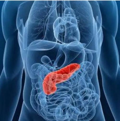 J Gastroenterology: 早期非壶腹十二指肠腺癌淋巴结转移的临床病理特征及危险因素