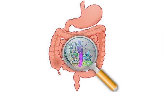IBD:细菌组成和功能可预测小儿克罗恩病的单一肠内营养治疗后持续缓解情况