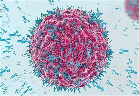 Tisotumab Vedotin治疗复发或转移性宫颈癌：II期临床试验取得阳性结果