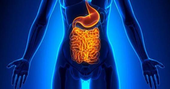 Gastroenterology：肠道<font color="red">微生物</font>和脂质代谢产物是肝病患者慢性肠道功能衰竭和死亡的独立危险因素