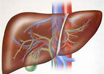 Nat BME：内源性脂褐素的近红外和短波红外成像应用于慢性肝病的无创监测