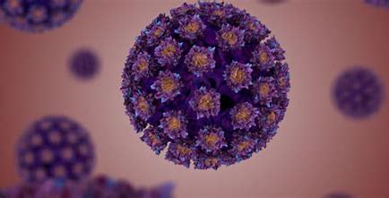 治疗<font color="red">性</font>疫苗TG4001联合Avelumab治疗晚期HPV阳性癌症：临床试验取得积极结果