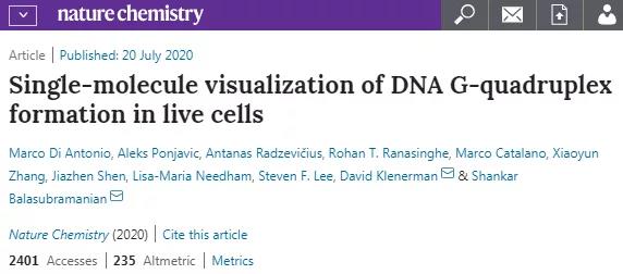 英国科学家首次在人体活细胞中观察到四<font color="red">螺旋</font>DNA形成