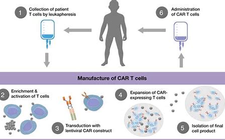FDA批准CAR-T细胞疗法Tecartus治疗复发难治套细胞淋巴瘤