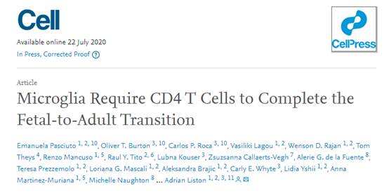 Cell：大脑中存在CD4+<font color="red">T</font><font color="red">细胞</font>，且影响大脑免疫“哨兵”的发育<font color="red">成熟</font>