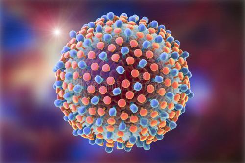 AP&T: 丙型肝炎患者只要接受直接抗病毒治疗就能有效果