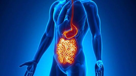 Gastroenterology：克罗恩病患者肠道长达1年的深度缓解可以有效延缓疾病复发