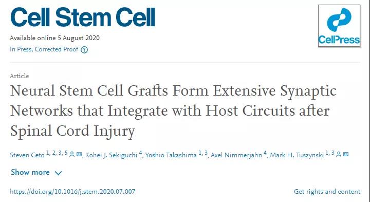 Cell Stem Cell：大突破！“黑盒子”神经干细胞移植成功修复脊髓损伤！