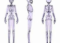 骨质疏松的影像学与骨密度诊断专家共识