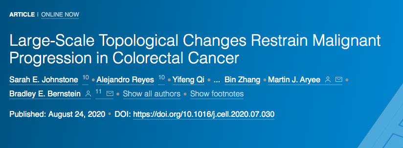 CELL：颠覆传统观念，<font color="red">染色</font>质拓扑变化可抑制结直肠癌的恶性进展