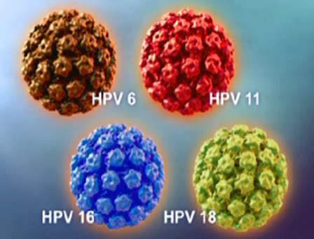 男性同样应该接种HPV疫苗！