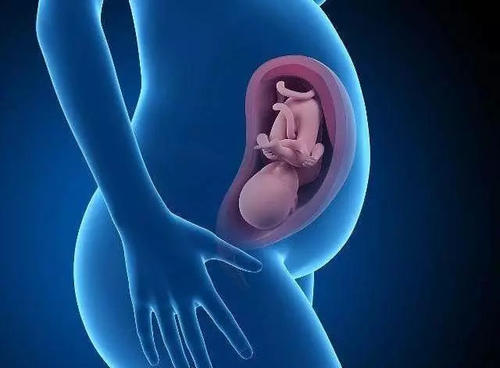 J Hepatology: 妊娠期非酒精性脂肪肝与围产期不良结局相关