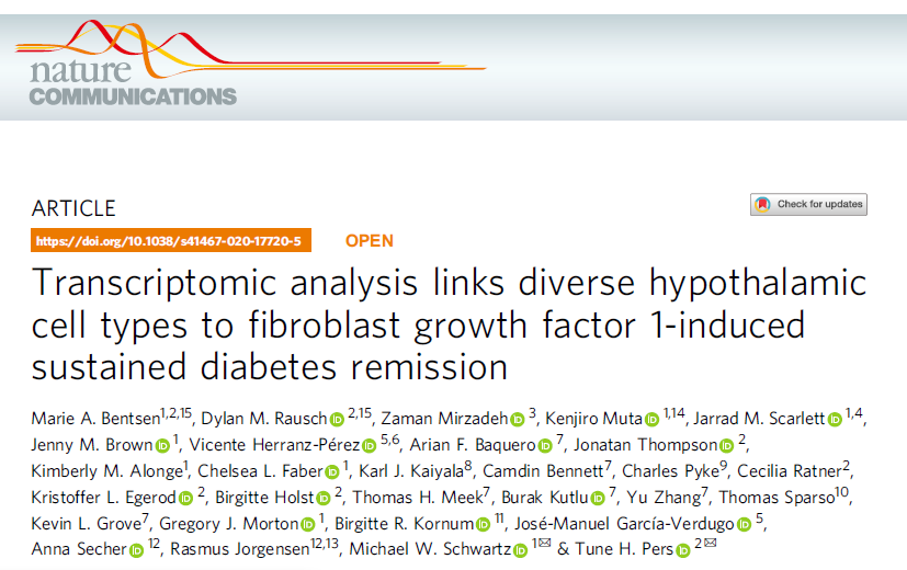 Nat Commun：转录组学分析揭示FGF1对2型糖尿病的缓解作用