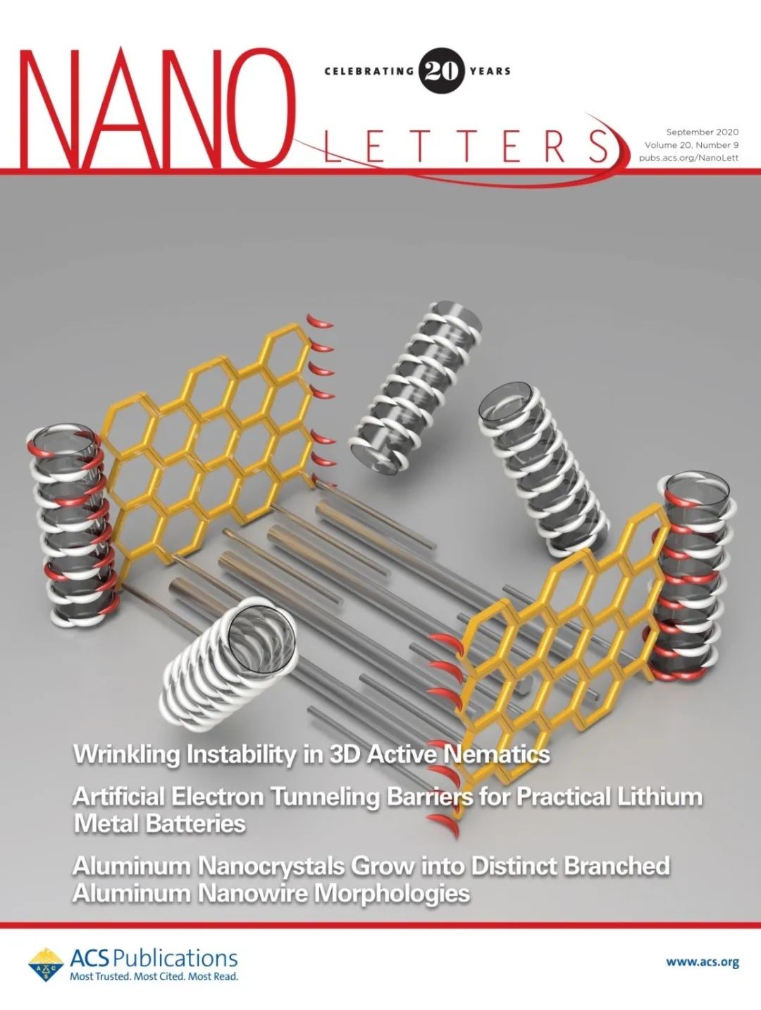 Nano Letters封面 ：北大王世<font color="red">强</font>组揭示控制心脏收缩功能的重要分子机制，为认识和治疗心脏疾病提供了新理论、新思路